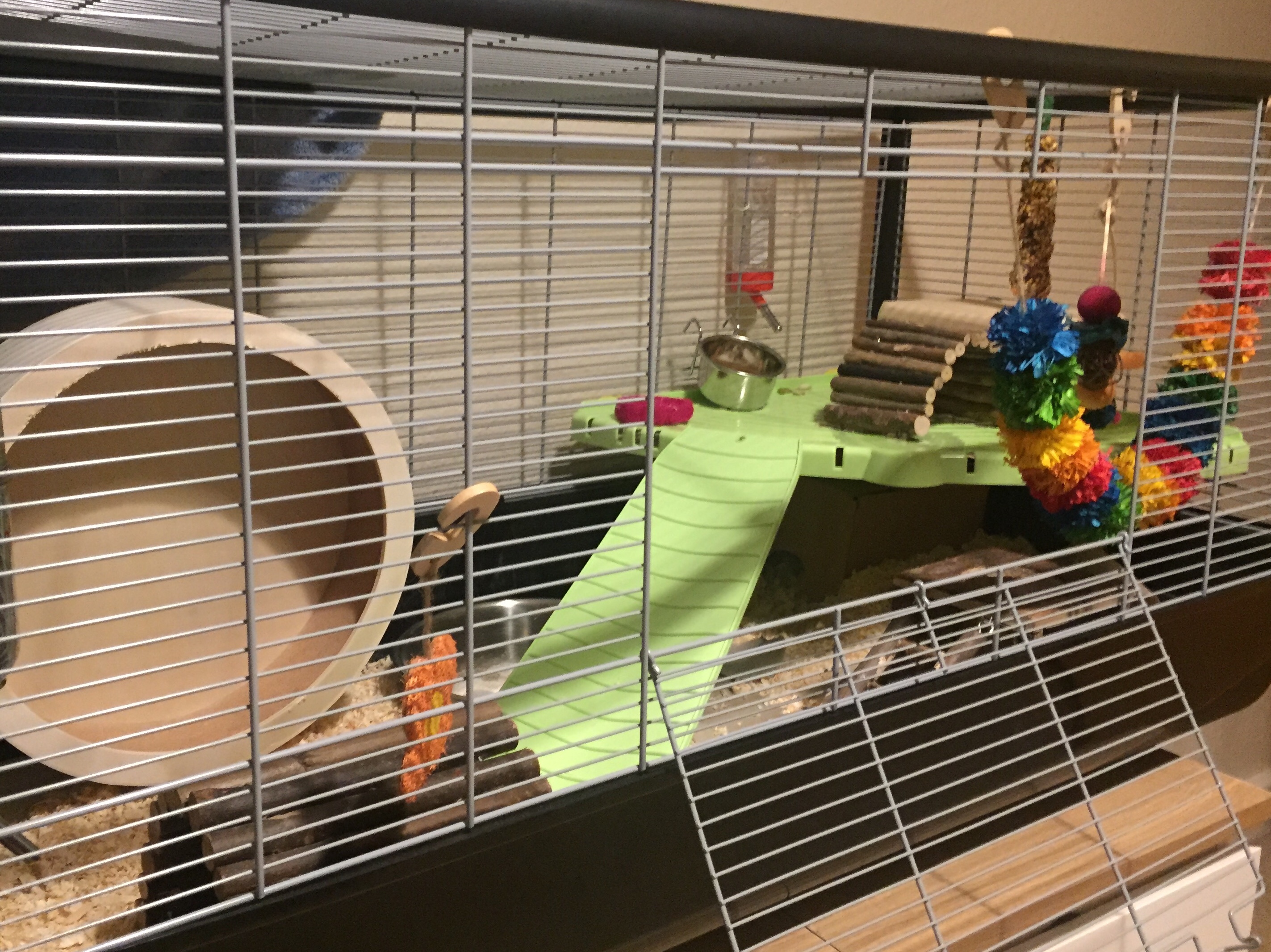 savic plaza hamster and rat cage